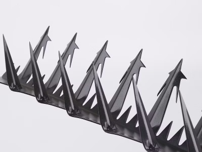 Stainless-Steel-Barbed-Wire-Razor-Spike-on-The-Top-of-The-Wall_副本1.jpg